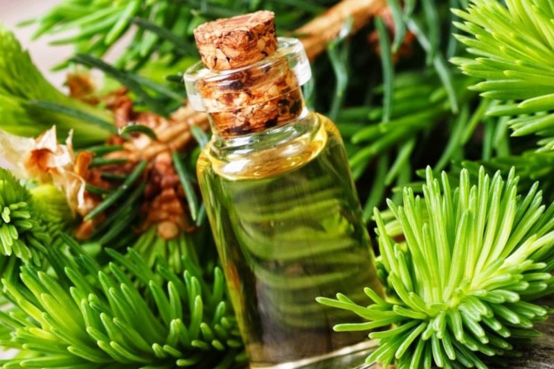 fir essential oil