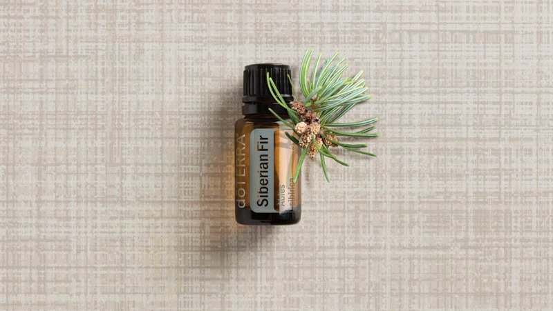 doTERRA Siberian Fir