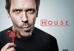 house m.d, house md, hugh laurie, medicine, tv series, love sucks