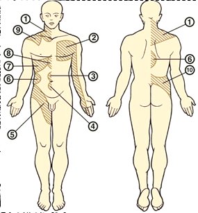 Pulse magnetic therapy with a rotating field and changing the frequency of repetition of impulses automatically.