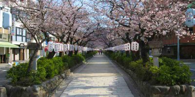 Wakamiya-Oji Street