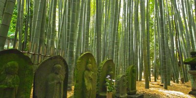 Hokoku-ji temple