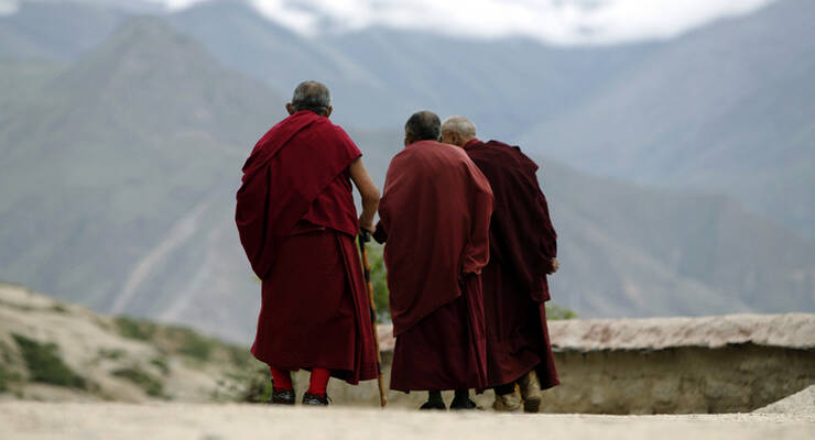 Photo to the article: Tibetan medicine