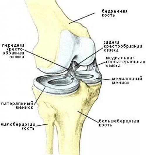 How to restore joints