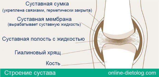 Structum. Based on chondroitin sulfate, produced in gelatin capsules for oral administration. It is used for osteochondrosis, arthrosis. Contraindications are thrombophlebitis, as well as children under 15 years of age.